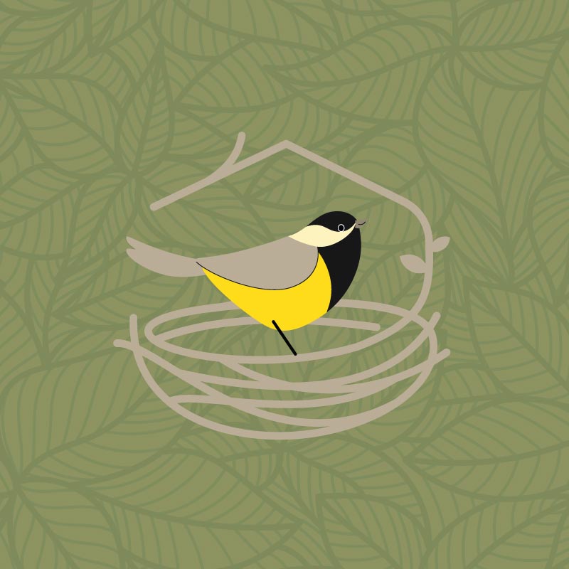 KiTa Meisennest | Grafik